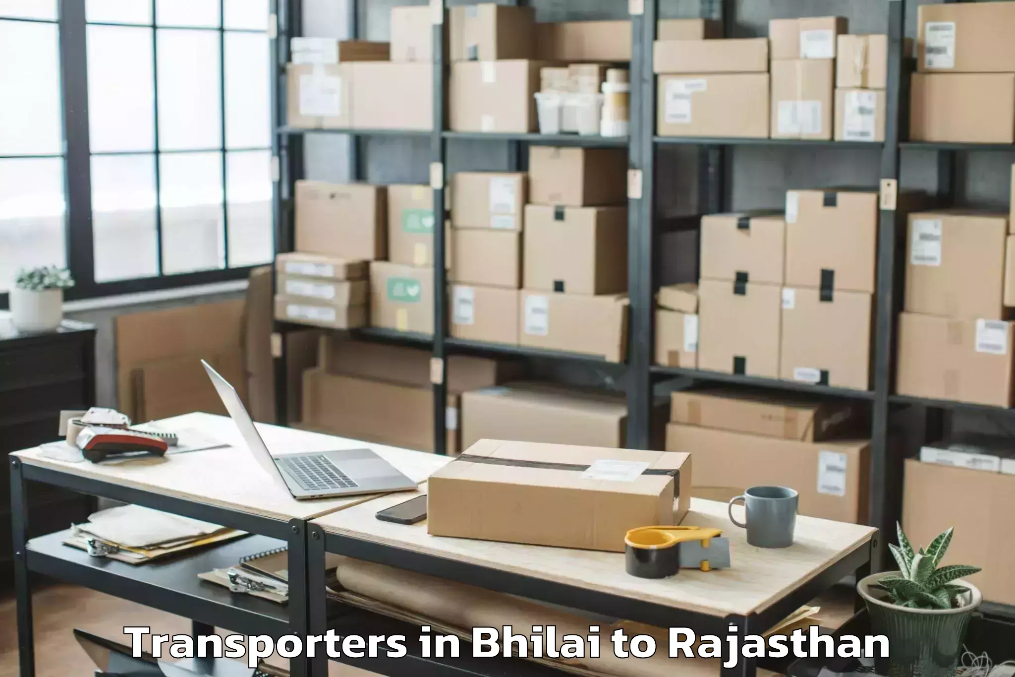 Leading Bhilai to Viratnagar Transporters Provider